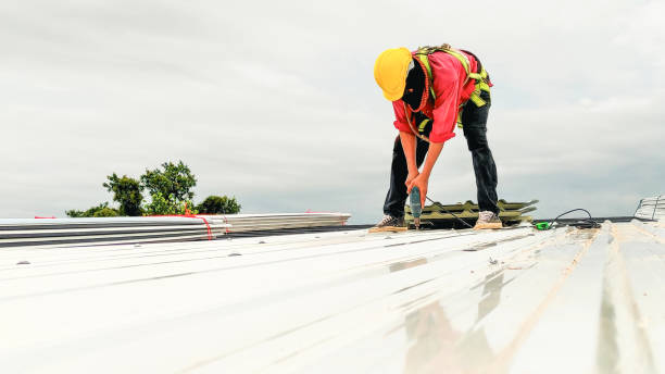Best Storm Damage Roof Repair  in Tamalpais Homestead Valley, CA