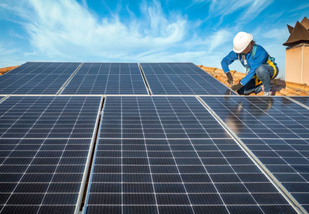 Best Roof Moss and Algae Removal  in Tamalpais Homestead Valley, CA